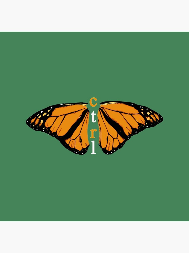 Sza Ctrl Butterfly Aesthetic Tapestry - Image 2